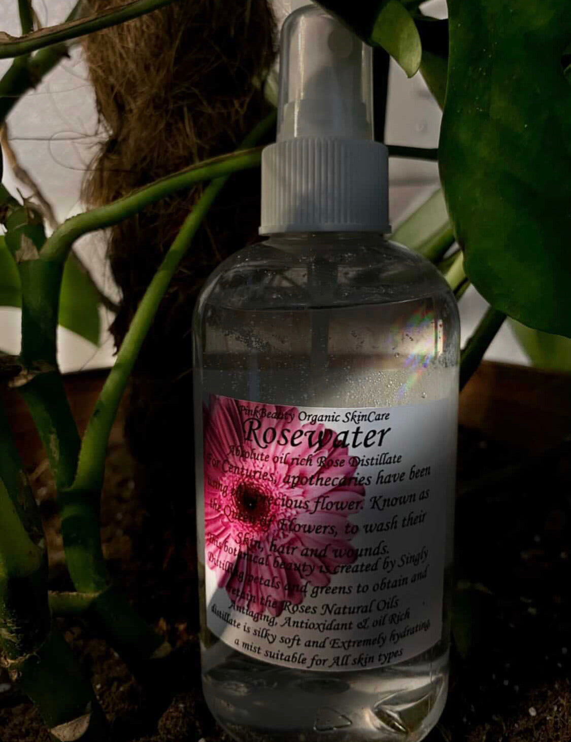 Rosewater toner