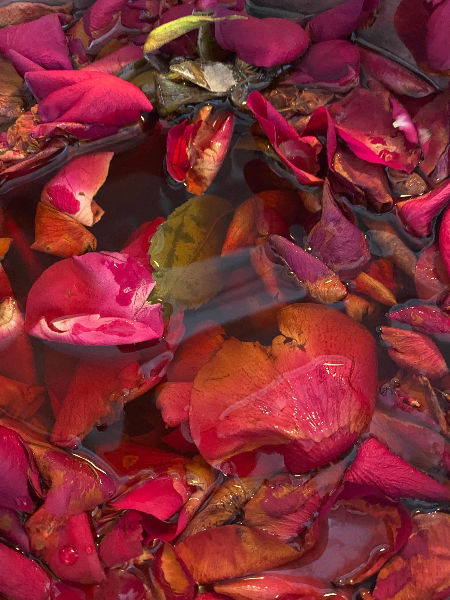 Rosewater toner