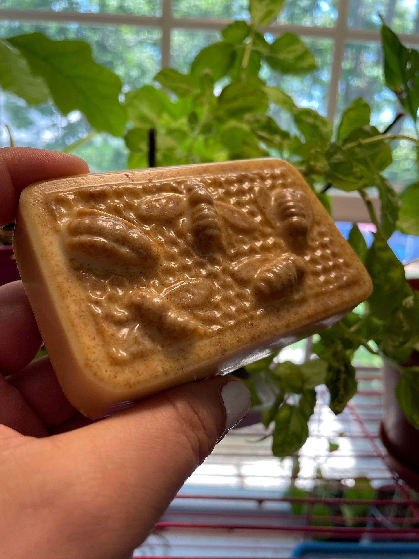 Milk & Manuka Honey Facial Soap